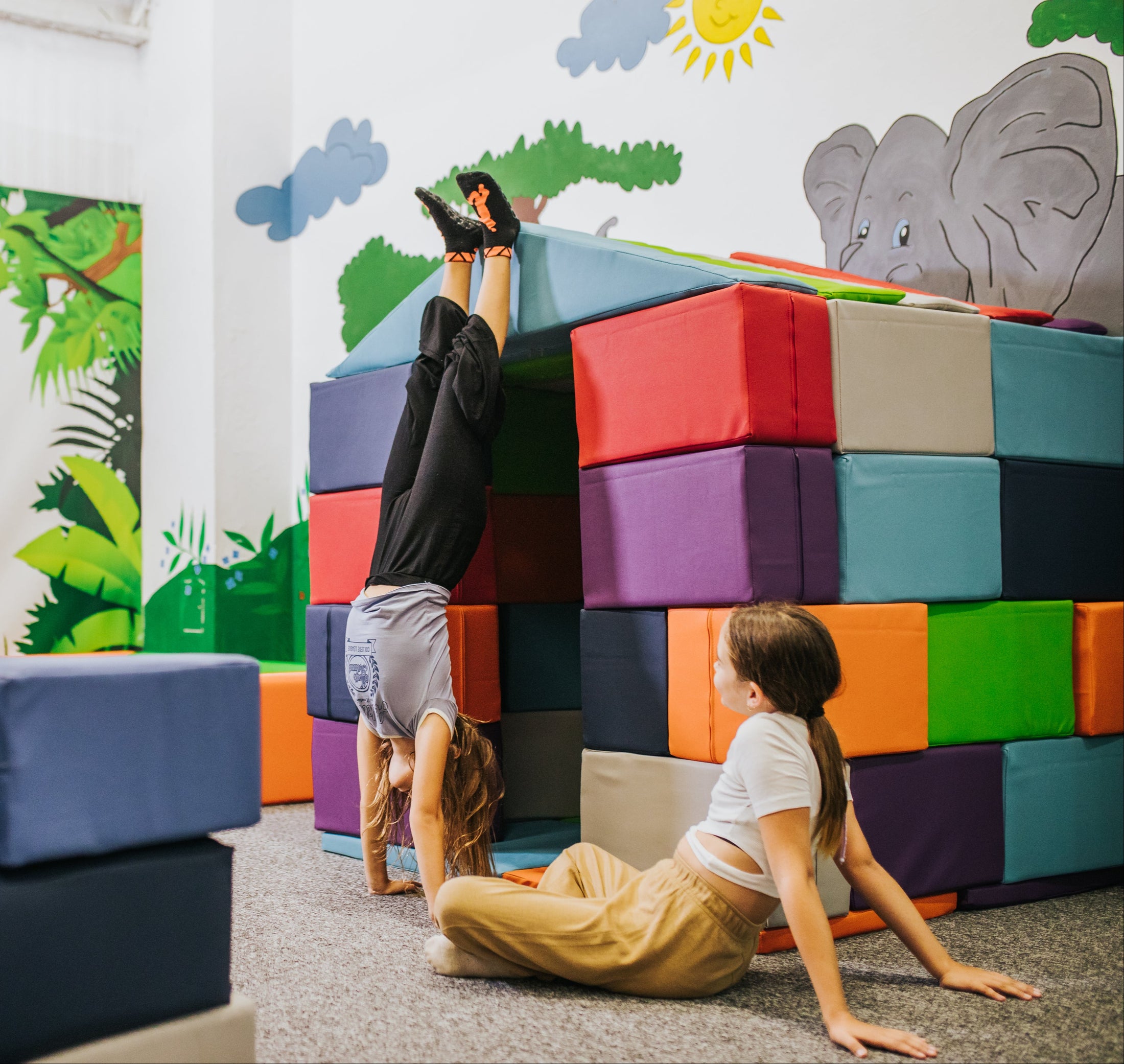 Foam blocks house