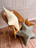 Load image into Gallery viewer, Star pillow