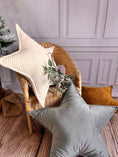 Load image into Gallery viewer, Star pillow